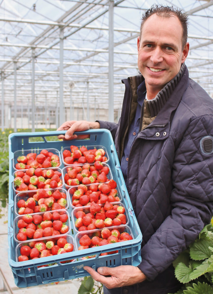 Portretfoto van kweker Thwan van Gennip met aardbeien