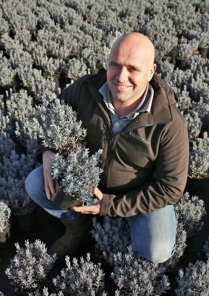 Tree nursery Ron van Opstal