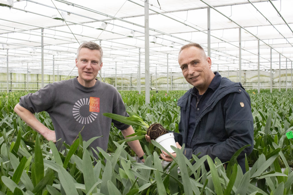 orchid grower André van der Goes Inca Orchids and BVB Substrates' representative John Noordam