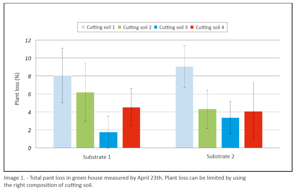 Results of test to determine the right substrate to fight phytophthora: chart of plant loss in greenhouse