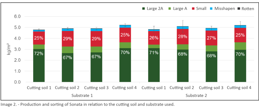 Production figures in test to determine the right substrate to fight phytophthora.