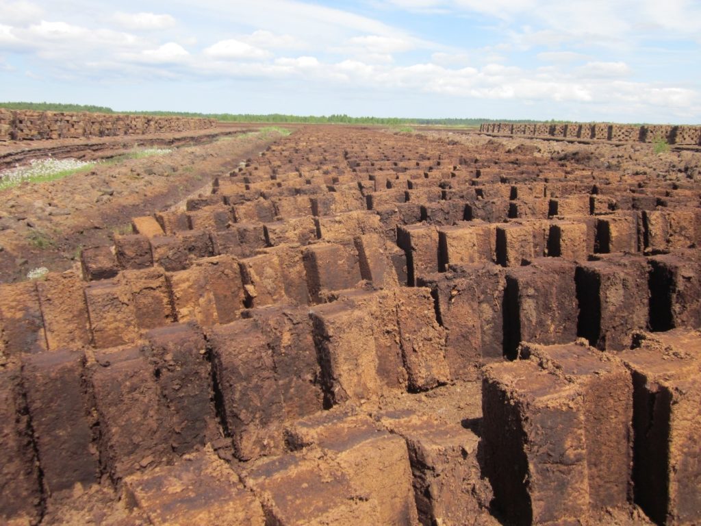 European block peat freshly harvested