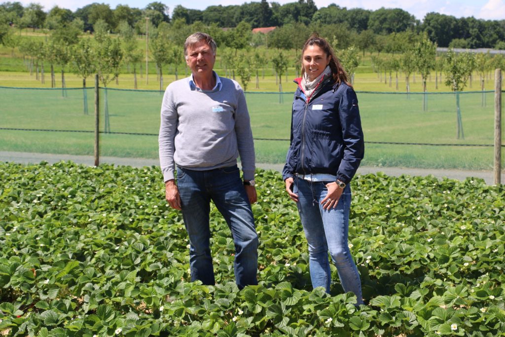 Reference story Knup Beeren