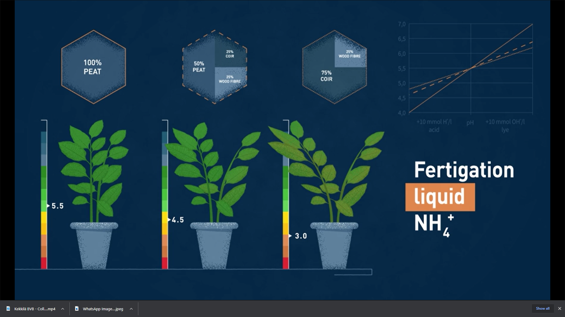 BVB Substrates illustration different pH levels in different growing media