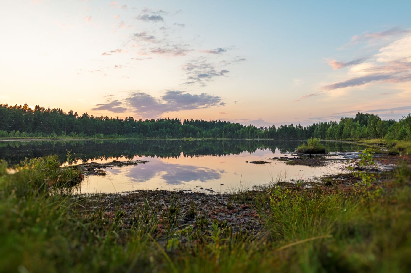 peatland restoration