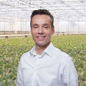 BVB Substrates Area Sales Manager Tree nurseries The Netherlands