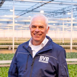 Area Sales Manager BVB Substrates