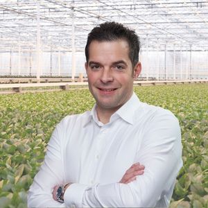 Area Sales Manager soft fruit bvb substrates the netherlands