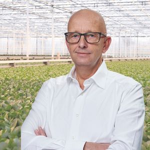 Area Sales manager BVB Substrates