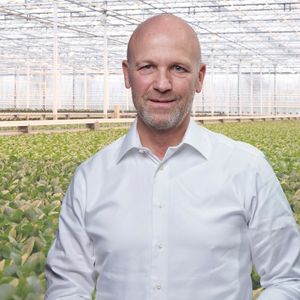 Area Sales Manager BVB Substrates