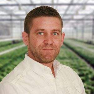 BVB Substrates Area Sales Manager France