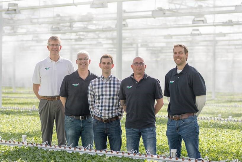 Lettuce farmer and team
